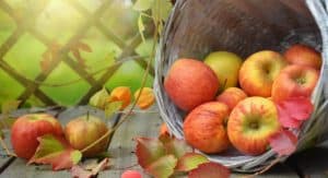 Vitamins Support Healthy Immunity